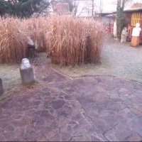 Skulpturengarten